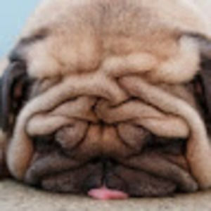 Meet your Posher, Marcie